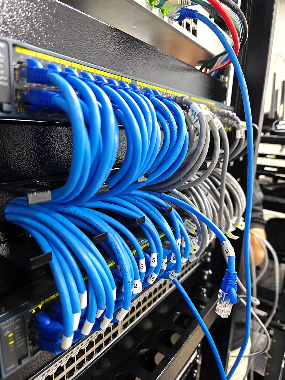 Patch cords identificados e conectados ao switch