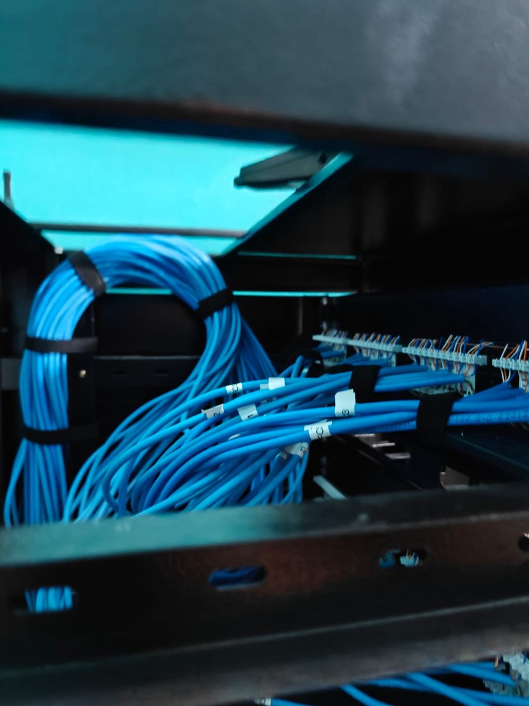 Detalhe dos cabos de rede identificados no interior do rack